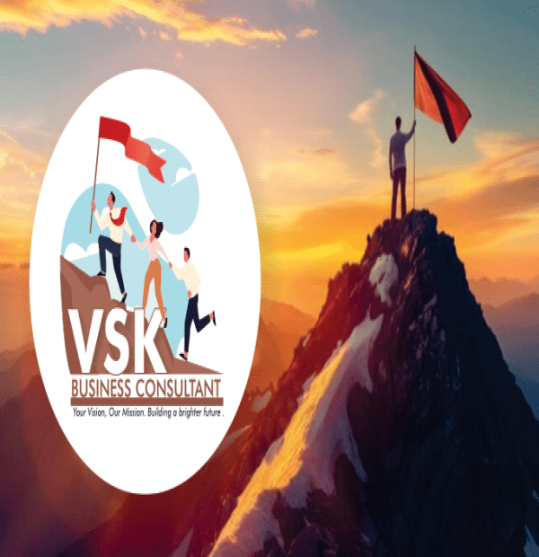 vsk business consultant